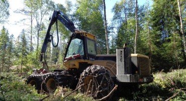 Заготовка леса в России