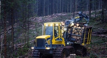 Харвестеры и форвардеры: эффективная техника для лесной промышленности